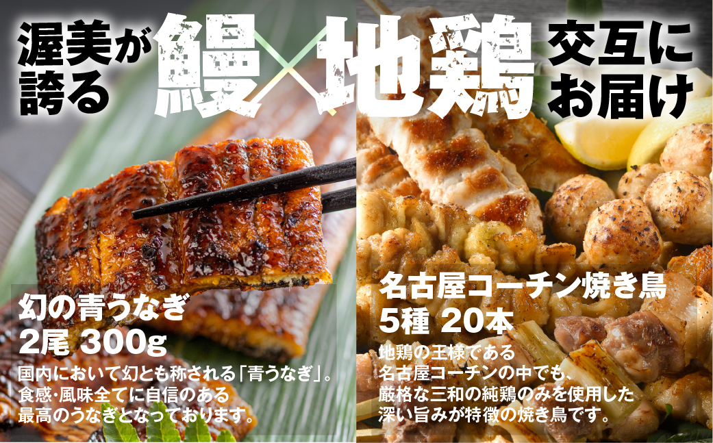
                  うな鶏定期便　3回定期便
                