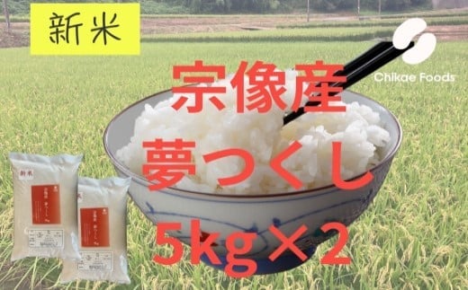 宗像産 夢つくし 10kg（5kg×2）( 米 白米 おいしい 福岡産 宗像産 夢つくし 10kg 10キロ )【ちかえフーズ】_HA1808