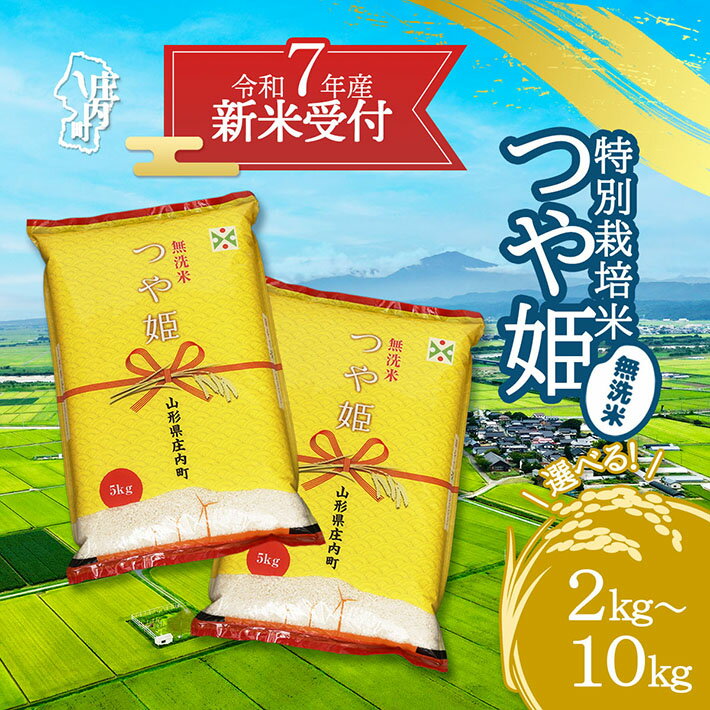 【ふるさと納税】【新米受付 10月発送】R7年産 つや姫 無洗米 選べる内容量！ 2kg/5kg/10kg（入金期限：2025.9.15）新米 新米予約 先行受付 令和7年産米 米 ふるさと納税 山形県