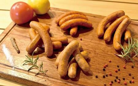 京丹波高原豚ウインナー ソーセージ チョリソー セット 16本 （国産 ブランド 豚肉 ぶた肉 セット バーベキュー BBQ アウトドア キャンプ パーティー 京丹波高原豚 三元豚 ソーセージ チョリ