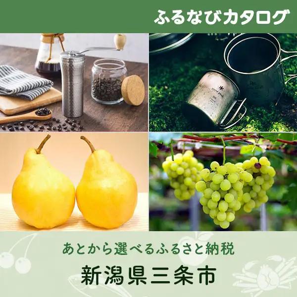 【有効期限なし！後からゆっくり特産品を選べる】新潟県三条市カタログポイント