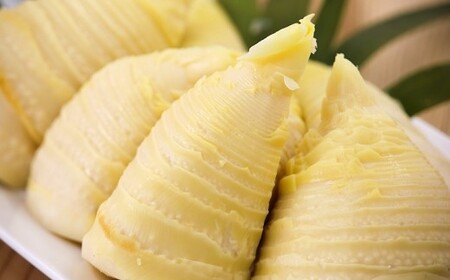 【先行受付】無添加たけのこ水煮 計1.5Kg(300g×5袋) 令和8年産 4月上旬から 熊本県 南関町産 春 新鮮 惣菜 小分け 和食 筍 タケノコ