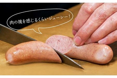 ソーセージ 壱岐牛（プラチナ）3本 × 3パック  《壱岐市》【壱岐牧場】[JBV002] ソーセージ 壱岐牛 和牛 14000 14000円  コダワリソーセージ こだわりソーセージ おすすめソーセ