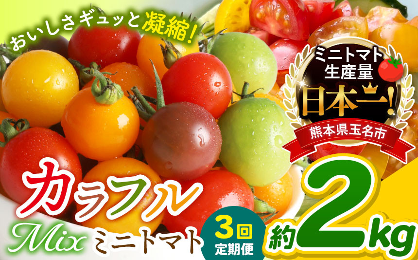 
【 定期便 3回 】 ミニトマト 生産量 日本一 玉名市 !! カラフル ミニトマト 約 2kg （ ミックス ） サザキ農園 | 野菜 トマト ミニトマト 熊本県 玉名市 定期便
