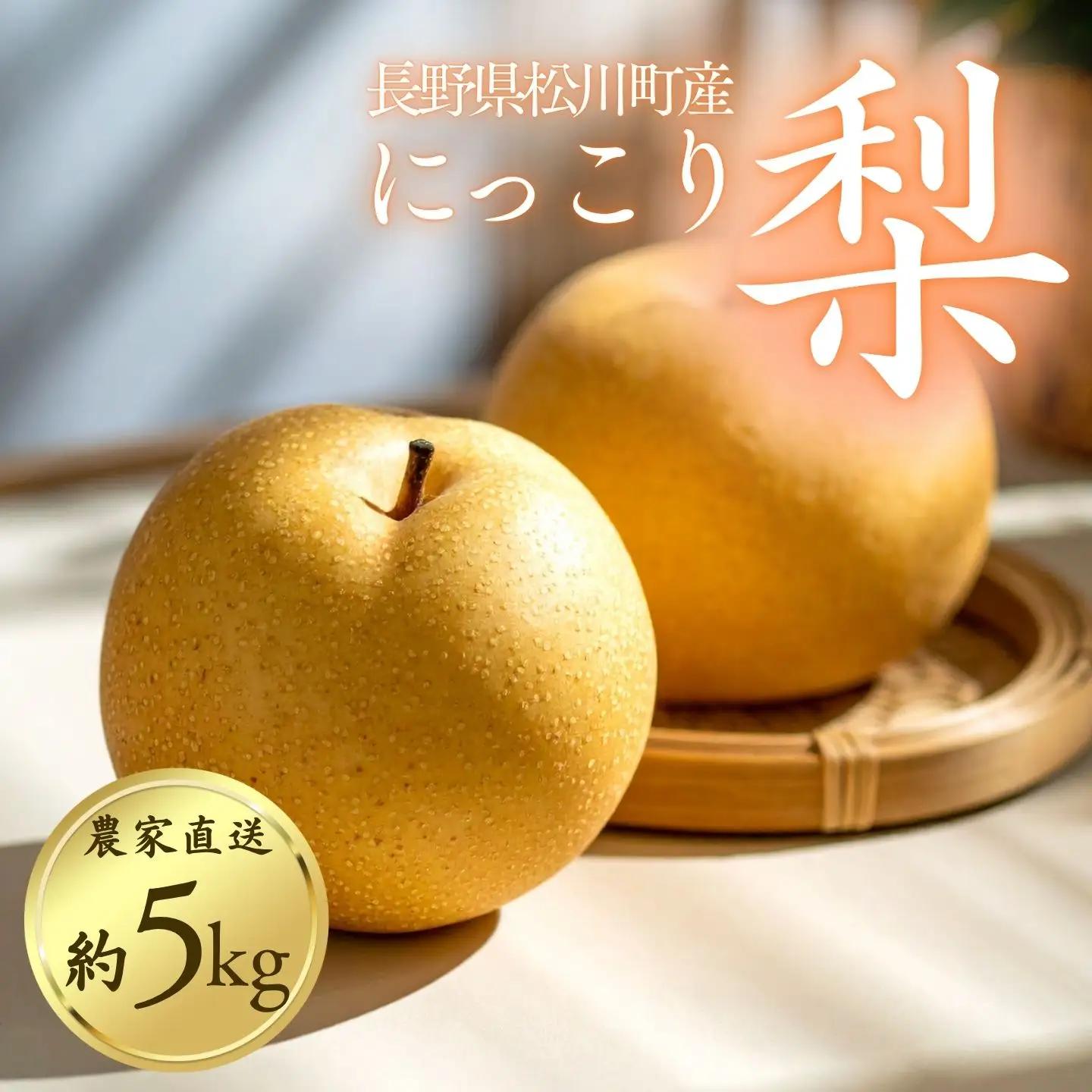 KW12　梨 にっこり 贈答 約5kg（6～9玉） 長野県松川町産 / 2026年11月上旬頃～配送予定//長野県 南信州 松川町産 梨 なし 果物 くだもの にっこり梨 人気 和梨 大玉 贈答