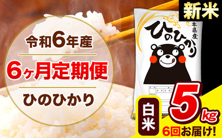 令和6年産 新米 ひのひかり 【6ヶ月定期便】 白米  5kg (5kg×1袋) 計6回お届け 《お申し込み月の翌月から出荷開始》 熊本県産 白米 精米 ひの 米 こめ お米 熊本県 長洲町