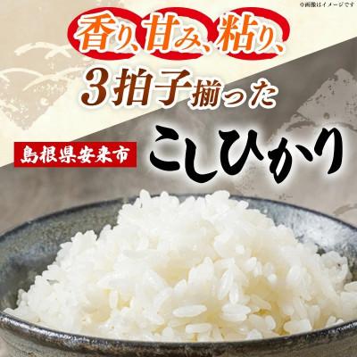 ふるさと納税 安来市 【毎月定期便】食味鑑定士厳選　島根こしひかり 10kg(5kg×2袋)(安来市)全6回 |  | 01