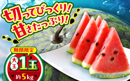 【数量限定】大玉すいか　1玉入り　約5kg【日本フルーツ株式会社】[AYDA003]