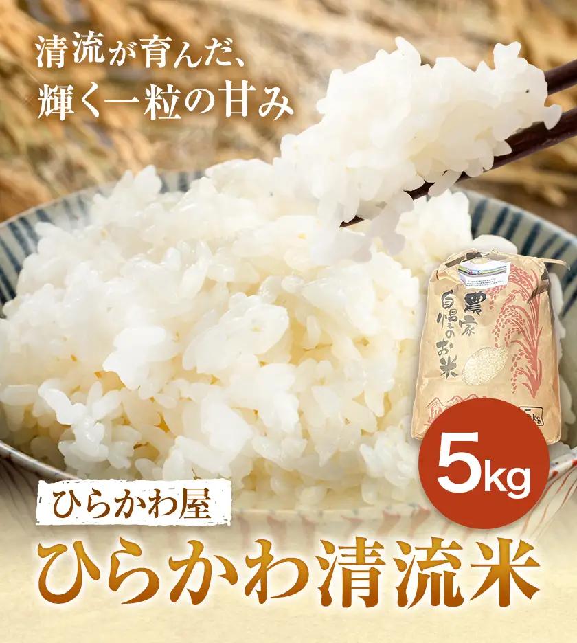 ひらかわ清流米 5kg×1袋 生産物直売所ひらかわ屋 《30日以内に出荷予定(土日祝除く)》お米 白米 鹿児島県 鹿児島県産 さつま町 精米 ごはん