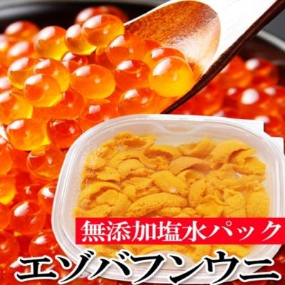 ふるさと納税 根室市 エゾバフンウニ塩水パック1P、いくら醤油漬(鱒卵)1P[11月下旬以降発送] E-40016