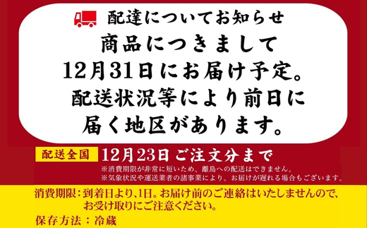 ＜12/31着（時間指定不可）＞年越しそばに！生蕎麦３人前＋かけ汁（温汁用出汁）３人前　年越しそば 年越そば 年越し蕎麦 年越蕎麦 そばセット 蕎麦 ふるさと納税年越しそば 家族年越しそば 老舗 送料