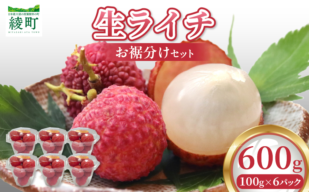 【数量限定】希少 綾生ライチ お裾分けセット  [６パック] 宮崎県 綾町産 ライチ 国産ライチ 果物 フルーツ 生ライチ 産地直送 期間限定 お中元 小分け 送料無料【JA綾町】_A0114-105