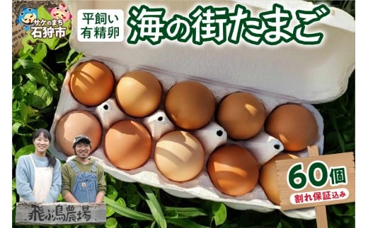 飛ぶ鳥農場　海の街たまご　60個