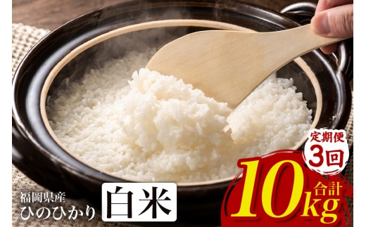 【3回定期便】【ふるさと納税】ひのひかり 米 お米 白米 10kg  10キロ 福岡県産 うきは市 国産 精米 ご飯 ごはん おにぎり お弁当 人気 おすすめ 家庭用 送料無料 令和7年度産 ストック 厳選 農家直送 大容量【JA福岡くるめ にじの耳納の里】