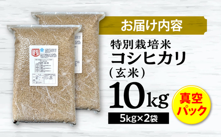 特別栽培米コシヒカリ 真空パック玄米10kg（5kg×2袋） お米 こしひかり ご飯 コシヒカリ おこめ 三次市/小川モータース[APCH004]