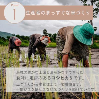 ふるさと納税 茨城県 【茨城県産】2025年新米 茨城県産 コシヒカリ米(精米)5kg |  | 01