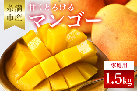 【 先行予約 2026年 発送 】 訳あり 沖縄県 糸満産 かねよし マンゴー アーウィンマンゴー 1.5kg 訳アリ 訳あり品 沖縄県産 アップルマンゴー 国産 完熟マンゴー 果物 くだもの フルーツ 完熟 夏 特産品 沖縄 産地直送 農家直送 甘い 濃厚 糸満市 93-7