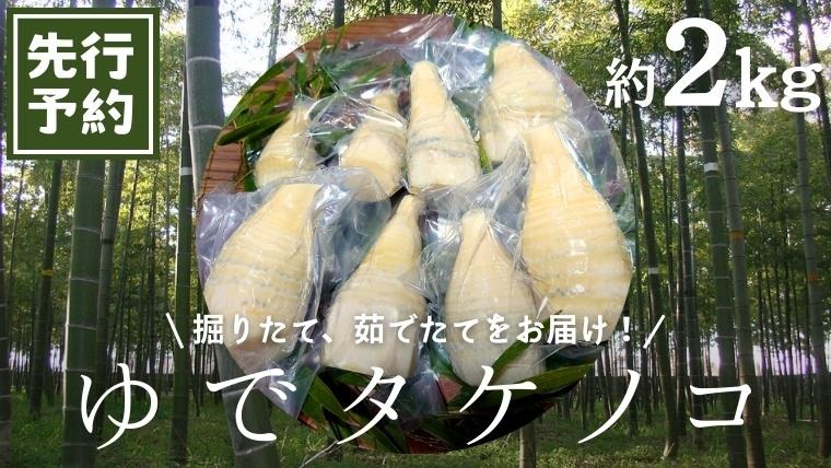 《 先行予約 》 新鮮な ゆでタケノコ 約2kg 【2026年4月上旬以降発送】 竹の子 2キロ 筍 たけのこ 水煮 真空パック 国産 たけのこご飯  [DU002us]