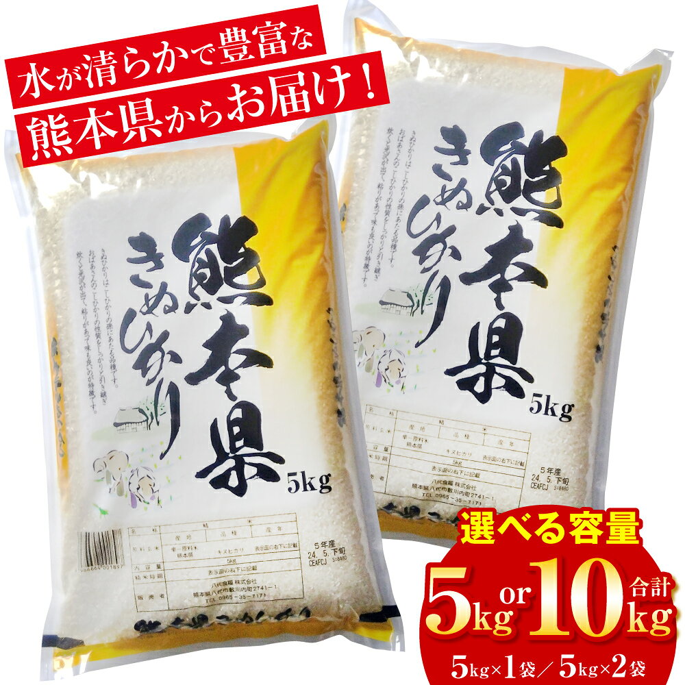 【ふるさと納税】 令和8年熊本地震復興支援 《令和8年産》 熊本県産 きぬひかり 5kg ～ 10kg 【選べる内容量】 米 お米 精米 白米 ごはん ご飯 おにぎり お弁当 熊本県 八代市 送料無料