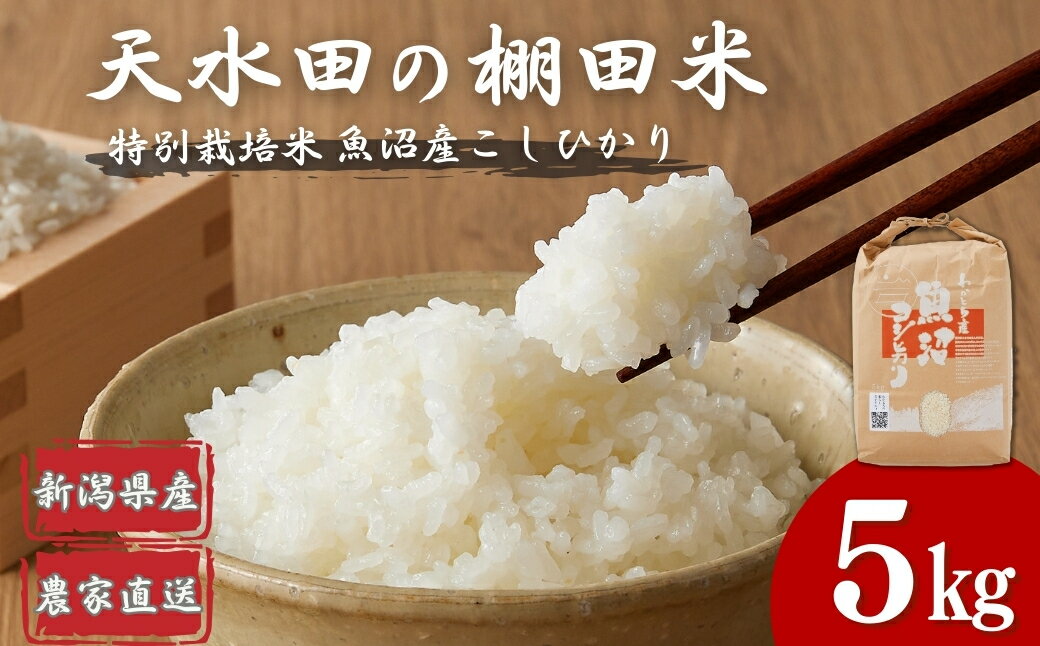【ふるさと納税】【令和7年産 新米予約】 わかとち産 魚沼コシヒカリ特別栽培 棚田米 5kg 新潟県 小千谷市 白米 先行予約【0013-0003-01】