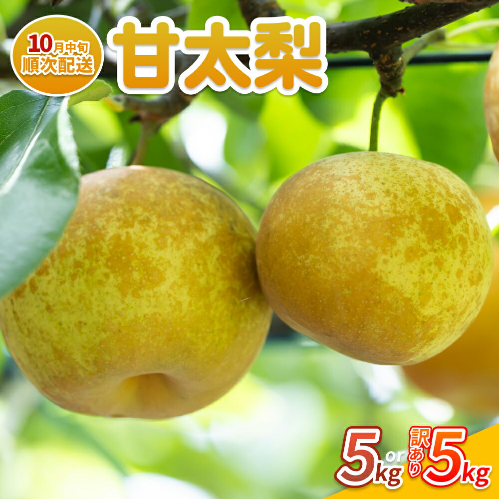 【ふるさと納税】【先行予約】中野農園 梨 ”甘太（かんた）” 5kg箱｜鳥取 岩美 梨 なし ナシ 果物 フルーツ 訳あり※お届けは2026年10月中旬～【41088】