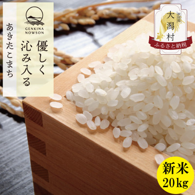 
            ＜令和6年産＞秋田県産 あきたこまち 無洗米 20kg(5kg×4袋)【1519359】
          