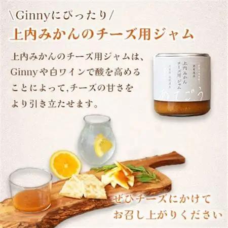 GINNY(ジニー)セット 永野酒店【1630466】