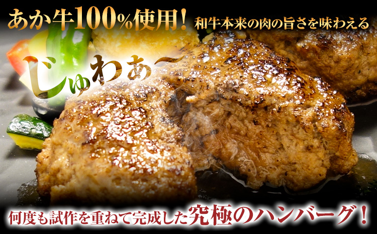 あか牛 100% ハンバーグ 合計約720g 約120g×6個 あか牛のたれ200ml付き 和牛 赤牛 2018年度日本ギフト大賞熊本賞受賞 おかず 惣菜 熊本県産 九州産 国産 冷凍 送料無料《30