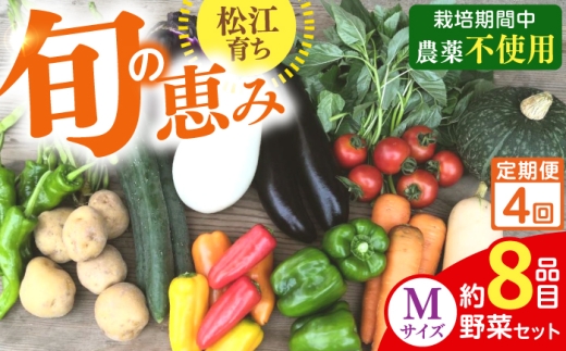【先行予約】【2027年1月以降発送開始】【全4回定期便】旬の野菜セットMサイズ 野菜8品目 島根県松江市/須山農園 [ALBD008]セット 産地直送 詰め合わせ 旬の野菜 旬野菜 野菜詰め合わせ 国産野菜 新鮮野菜 オーガニック野菜 食品 健康志向 ヘルシー 季節野菜
