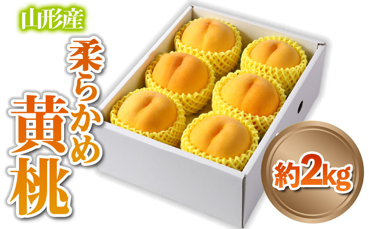 
                  山形産 柔らかめ 「黄桃」 秀品 約2kg (5玉～8玉)【令和8年産先行予約】 FS24-082 くだもの 果物 フルーツ 山形 山形県 山形市 2026年産
                