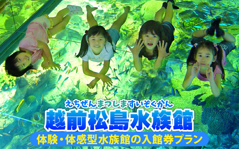 
【越前松島水族館】 体験・体感型水族館の入館券プラン [A-11103]
