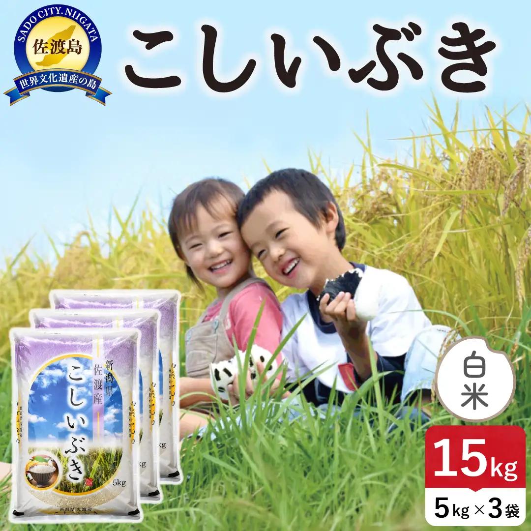 佐渡島産こしいぶき 白米 15kg 令和8年産 農薬5割減 土屋農園 195962-051502