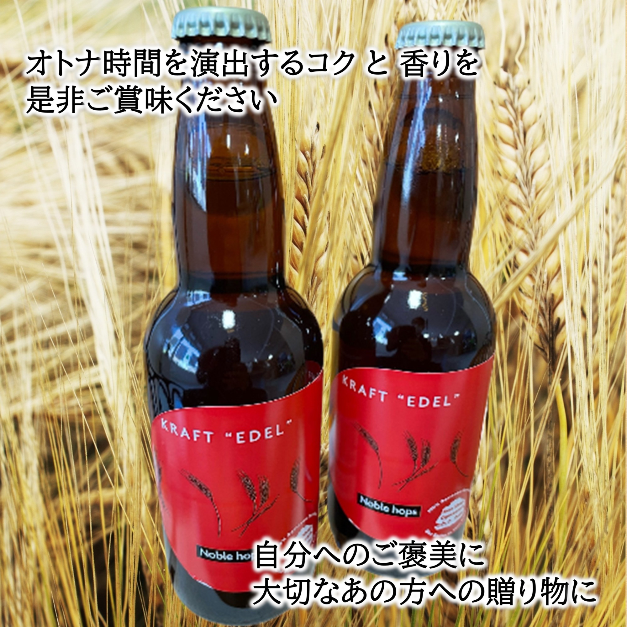 十勝・豊頃の農家が作ったクラフトビール330ml×2本・二条大麦100％「十勝10時と15時の大麦茶」7包×2袋セット【12回定期便】
