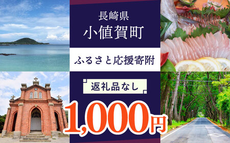 【返礼品なし】長崎県町 ふるさと応援寄附金（1,000円分） [DYZ001]