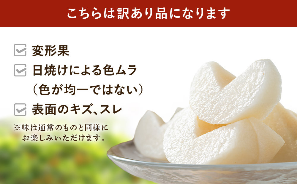 【訳あり／2026年先行予約】金城果樹園　梨「幸水」約5kg（10～16玉入）2026年8月中旬～順次発送