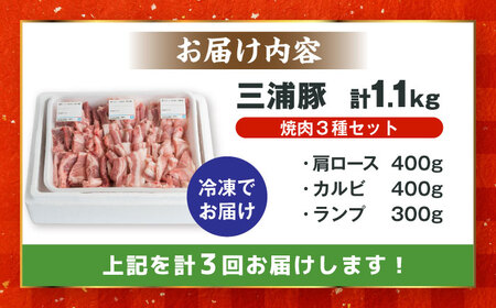 【3回定期便】 豪華 三浦豚 1.1kg 焼肉セット 肩ロース カルビ ランプ / 恵那市 / あづま精肉店 [AUDL018]豚肉