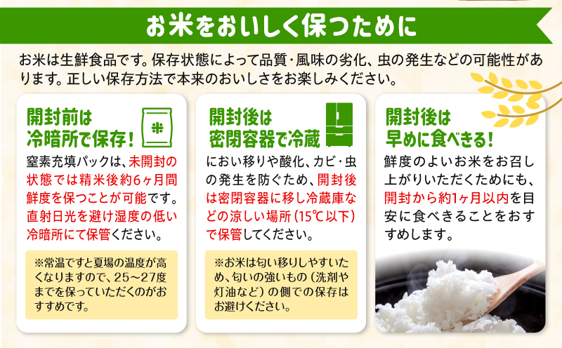 【2～7営業日以内に発送予定】国産ブレンド米 「米一膳」10kg お米 米 ご飯 炭水化物 主食 精米