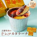 【ふるさと納税】 近藤牧場のクレマカタラーナ 110g×3個 冷凍プリン カタラーナ 千葉県 南房総市 おやつ デザート お菓子 フローズンデザート 乳製品 冷凍 洋菓子 クリームブリュレ お取り寄せ グルメ 送料無料