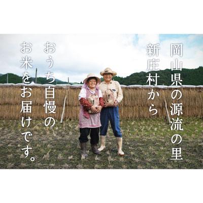 ふるさと納税 新庄村 令和6年産 村の一等米コシヒカリ(精米10kg) |  | 03