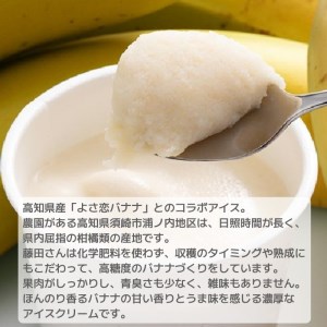 アイスクリーム バナナ アイス よさ恋 濃厚 完熟 無添加 濃恋 高知県 須崎市