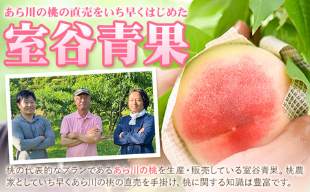 【予約受付】あら川の桃 約2.8kg 室谷青果 《2025年6月下旬-8月中旬頃出荷》 和歌山県 紀の川市