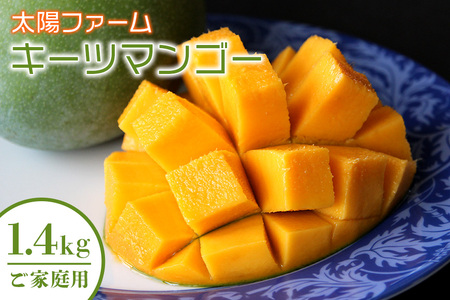 【 先行予約 2026年 発送 】 農家直送 ! 太陽ファームの キーツマンゴー 1.4kg (ご家庭用) 沖縄県産 マンゴー 国産 果物 南国 くだもの フルーツ 夏 旬 特産品 沖縄 お取り寄せ 名産品 お土産 甘い 濃厚 家庭用 緑色 幻のマンゴー 沖縄県 糸満市 120-3