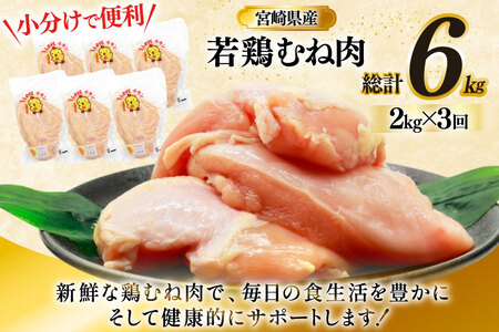 鶏肉 定期便 むね肉 若鶏 鶏むね肉 2kg 3回 総計6kg [ミヤケイフード 宮崎県 美郷町 31bp0012] 鶏むね 鶏胸 むね 冷凍 小分け