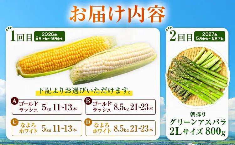 定期便 全2回 旬の夏野菜セット とうもろこし アスパラ 北海道名寄市《2026年8月上旬-2027年5月下旬頃出荷》