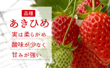 いちご農園のブランド苺【リッチゴ】(冷凍いちご×1kg)