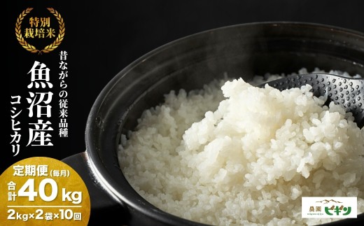 【令和8年産 コシヒカリ 先行予約】 昔ながらの魚沼産コシヒカリ 精米40kg(2kg×2袋×毎月全10回) 従来品種 コシヒカリ 農園ビギン | お米 米 おこめ こめ コメ こしひかり コシヒカリ 白米 精米 魚沼産 ブランド米 魚沼コシヒカリ 魚沼産こしひかり 新潟県産コシヒカリ 新潟県産こしひかり 新潟産コシヒカリ【0002-BN08DB00-02】
