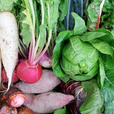 ふるさと納税 三木町 プチマルシェお野菜ボックス(M)　季節の野菜8〜9種類　≪ IDOMALL セレクト≫ |  | 01