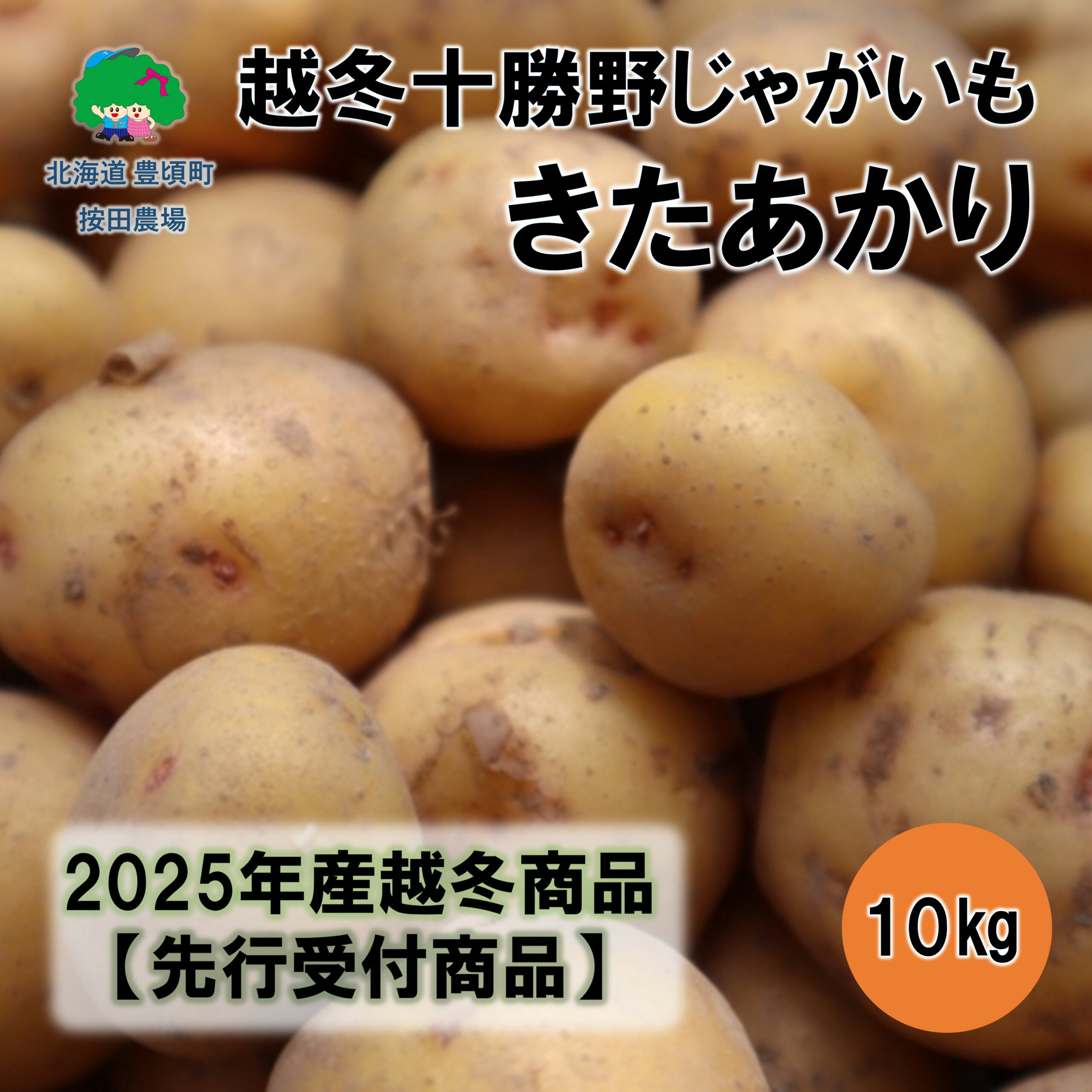 【ふるさと納税】越冬十勝野じゃがいもきたあかり10kg【2026年春出荷】（先行受付）［按田農場］"北海道 十勝 豊頃町" 先行予約 予約 特産 農家直送 数量限定 送料無料