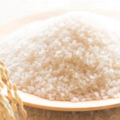 ふるさと納税 帯広市 【毎月定期便】北海道産 ななつぼし 無洗米 10kg (5kg×2袋)〈令和6年 特A受賞〉全3回 |  | 01