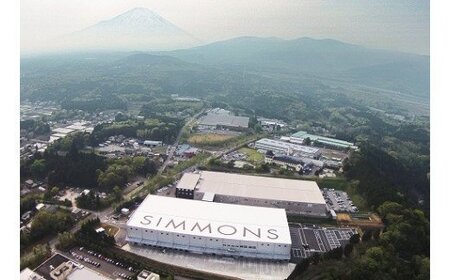 AD10ソファベッド ポケットダブルス　ナイトブルー色　3.5cm脚